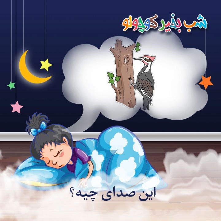 این صدای چیه؟