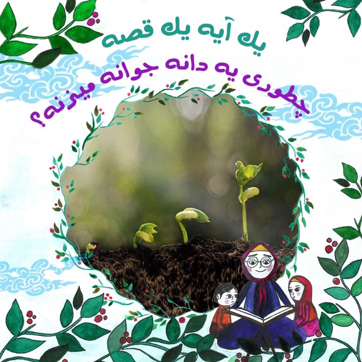 چطور یک دانه جوانه می زند؟