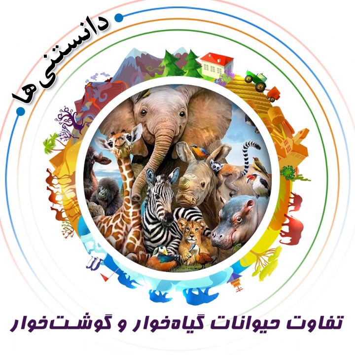 تفاوت حیوانات گیاه‎خوار و گوشت‎خوار