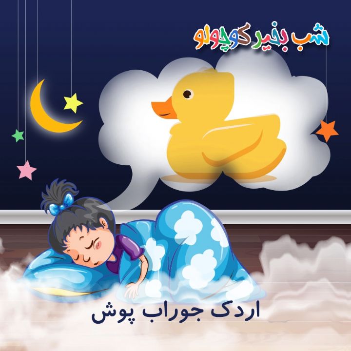 اردک جوراب پوش