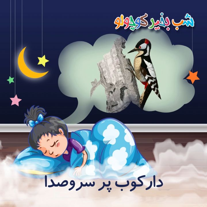دارکوب پر سروصدا