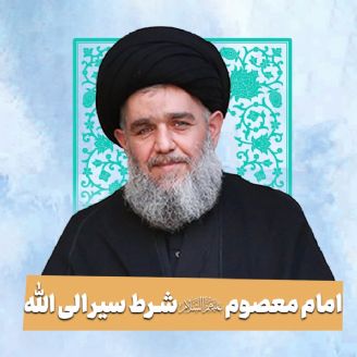 حجت الاسلام سید حسین مومنی
