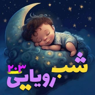 شب رویایی 203 