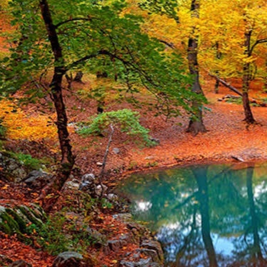 معجزه عشق