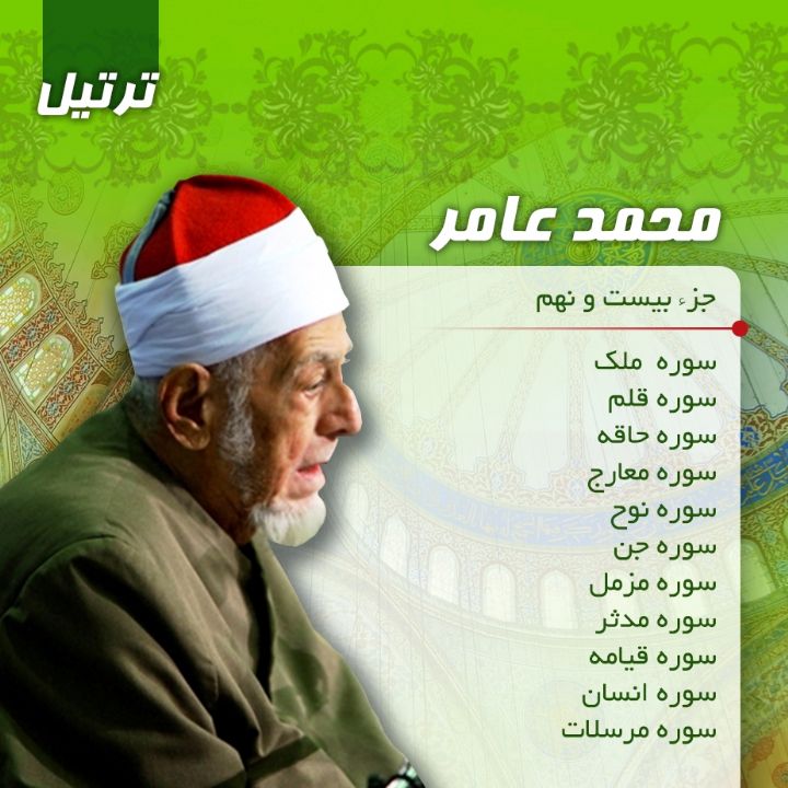 ترتیل استاد محمد عامر- جزء 29