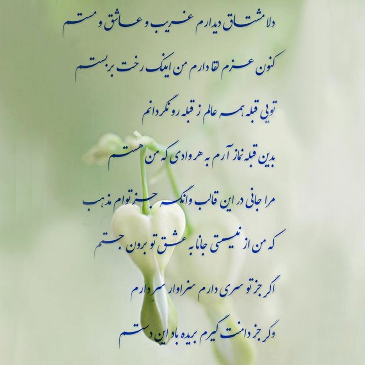 دلا مشتاق دیدارم 