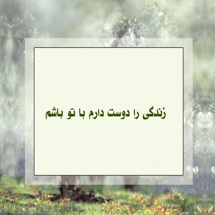 زندگی را دوست دارم با تو باشم 