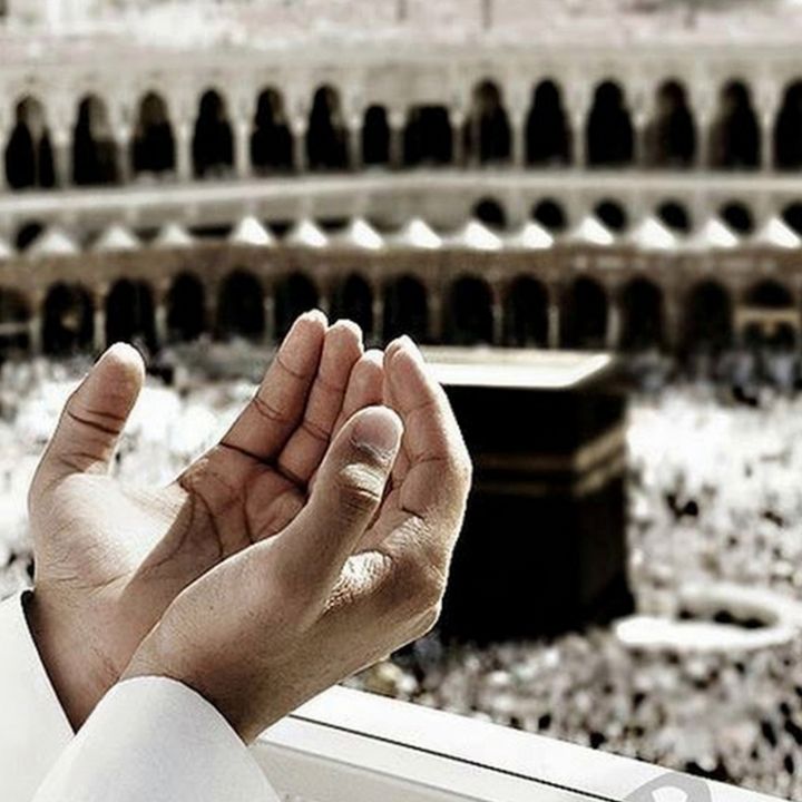 مَنْ یُحْیِ الْعِظَامَ وَهِیَ رَمِیمٌ 