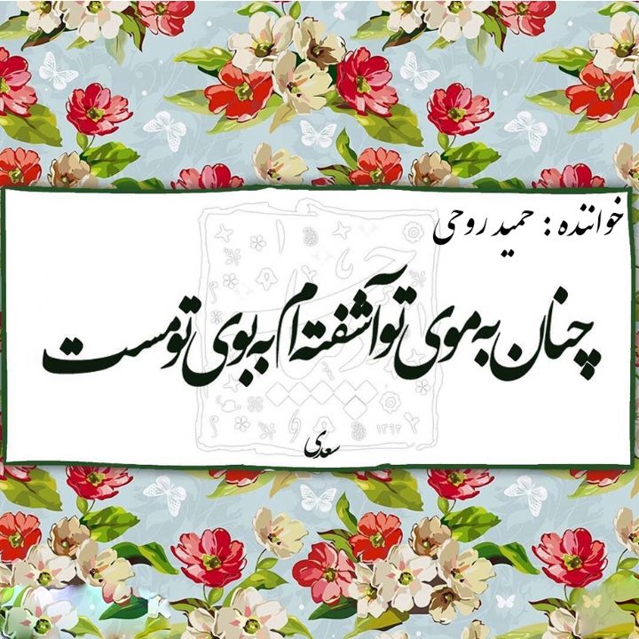 چنان به موی تو آشفته‌ام 