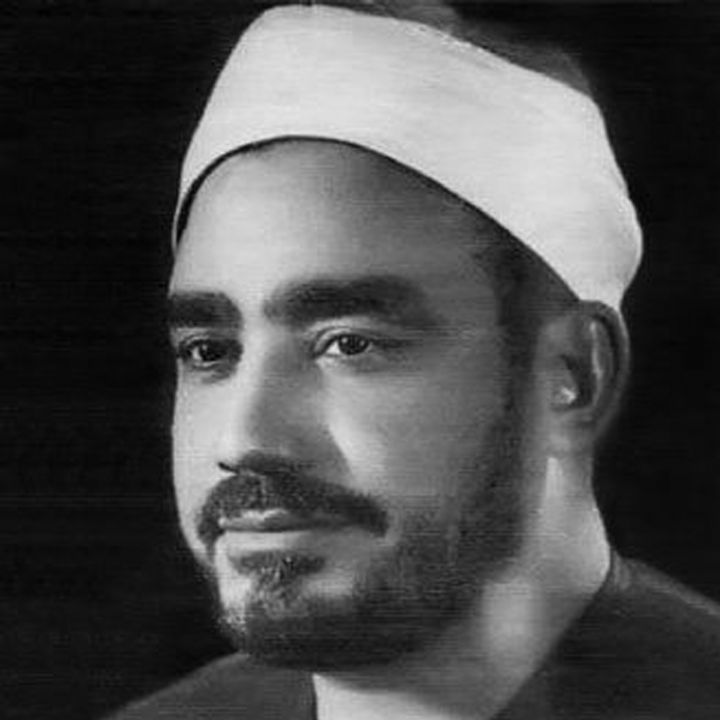 یا هادی العقل 
