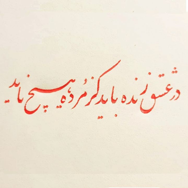 در عشق زنده باید کز مرده هیچ ناید 