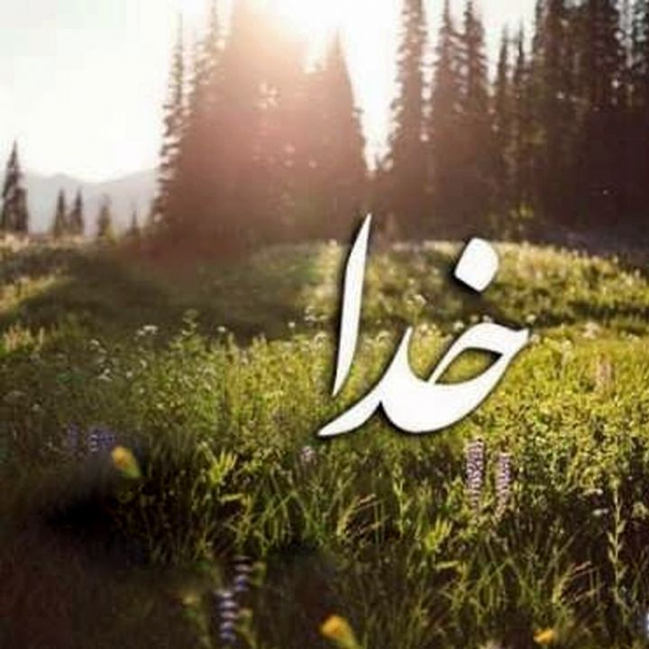 الهی انت ذو الفضل و منی