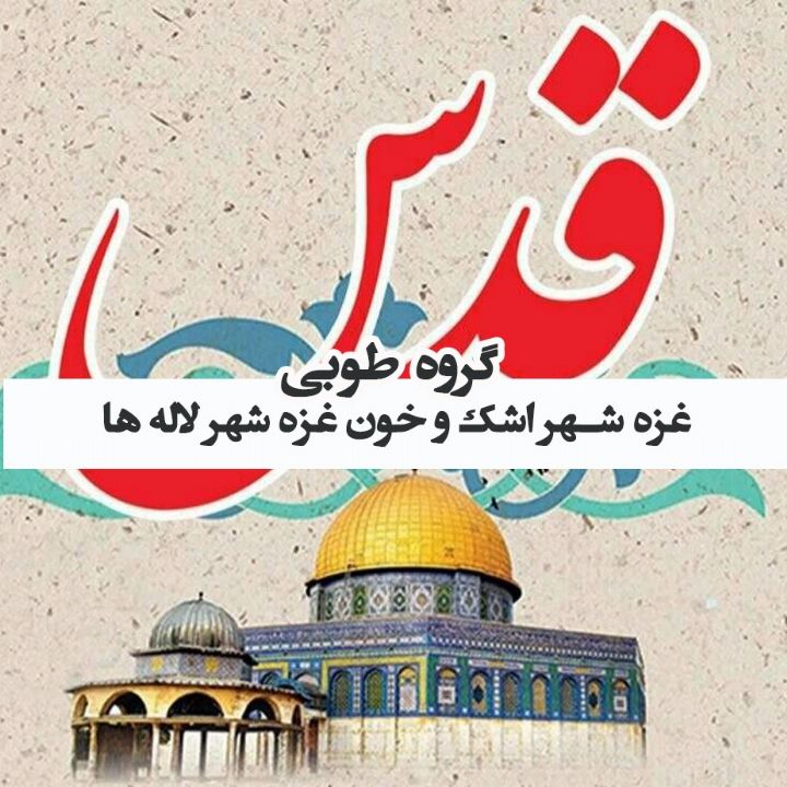 غزه شهر اشک و خون غزه شهر لاله ها