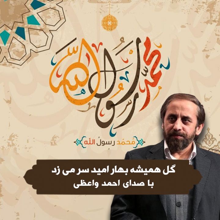 گل همیشه بهار امید سر می زد