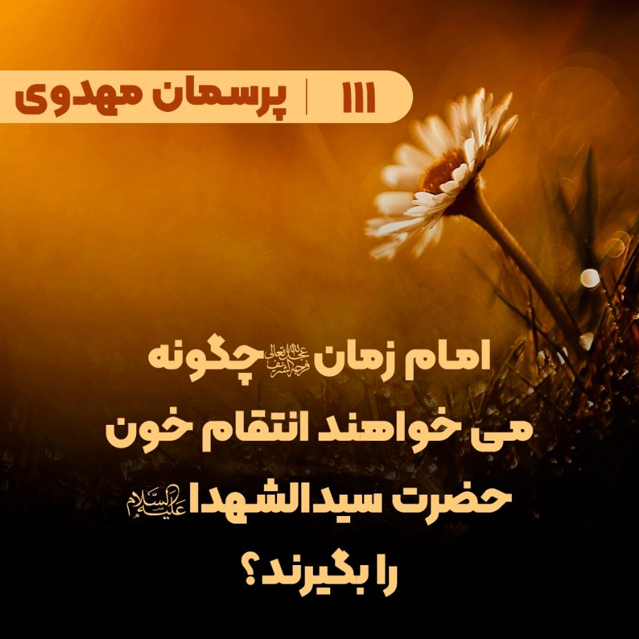 امام زمان(عج) چگونه می خواهند انتقام خون حضرت سیدالشهدا(ع) را بگیرند؟