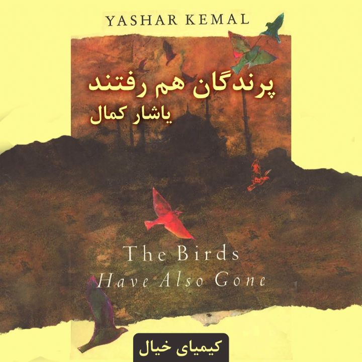 پرندگان هم رفتند 