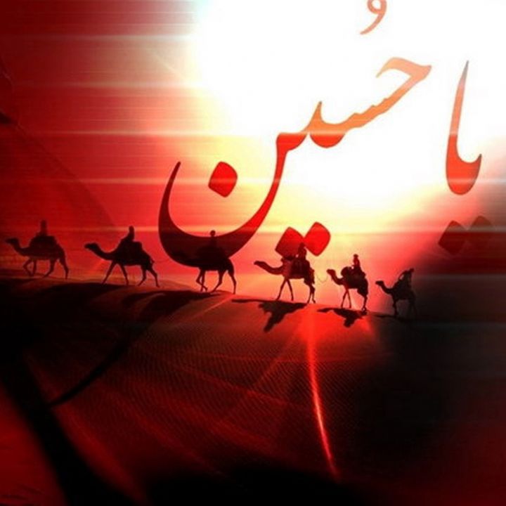 محمدرضا احمدی