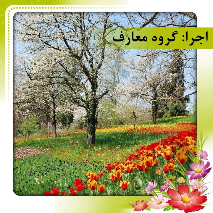 بهار آمد بهار من نیامد