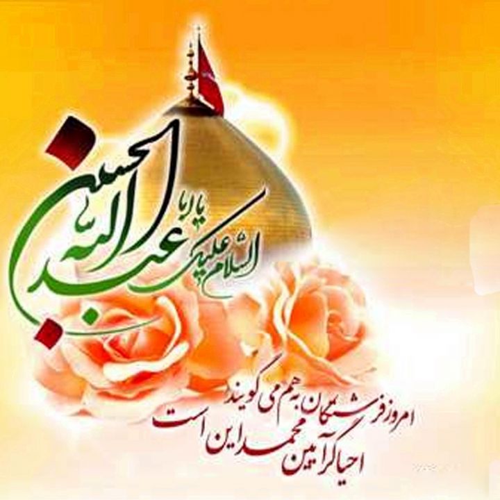 حجت پروین پر