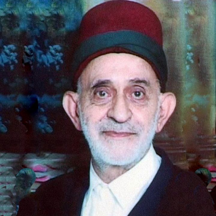 سید مصطفی هاشمی دانا
