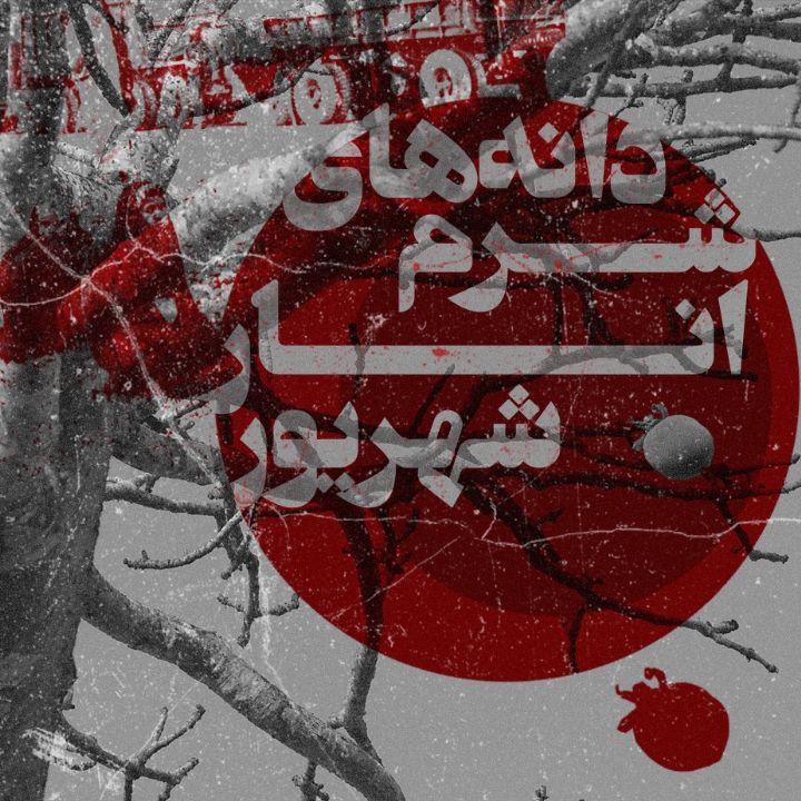 دانه‌های شرم انار شهریور