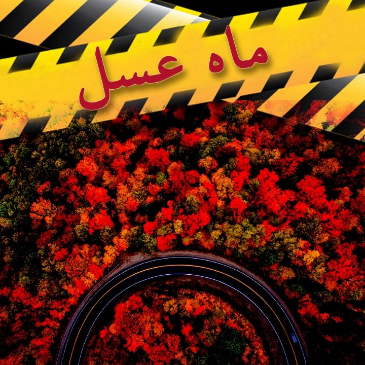 ماه عسل
