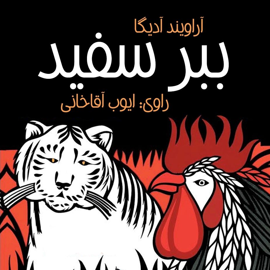 ببر سفید 