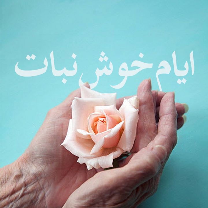 ایام خوش نبات