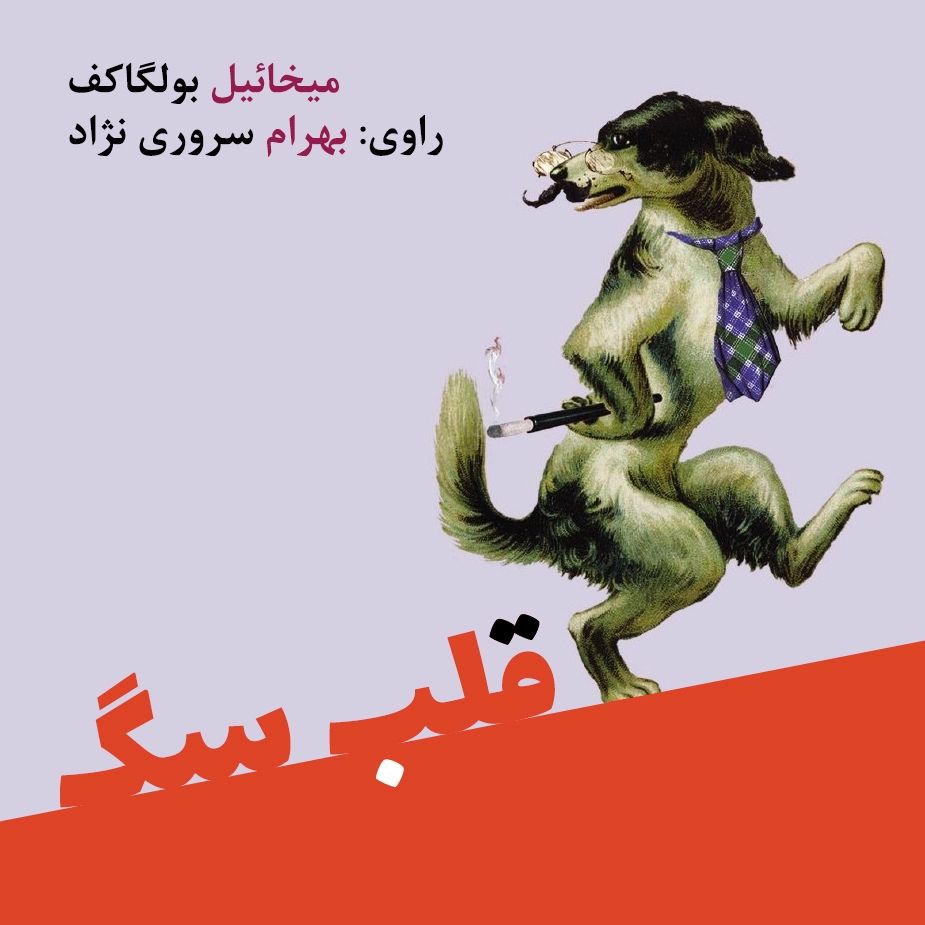 قلب سگ