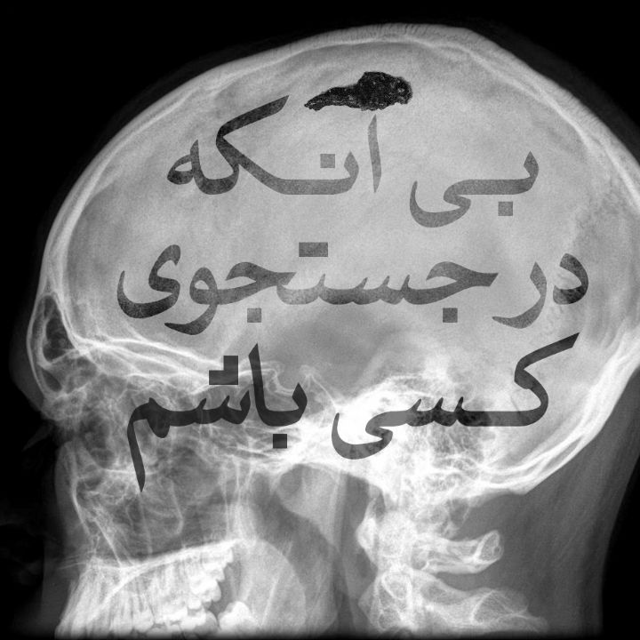 بی آنكه در جست‌وجوی كسی باشم