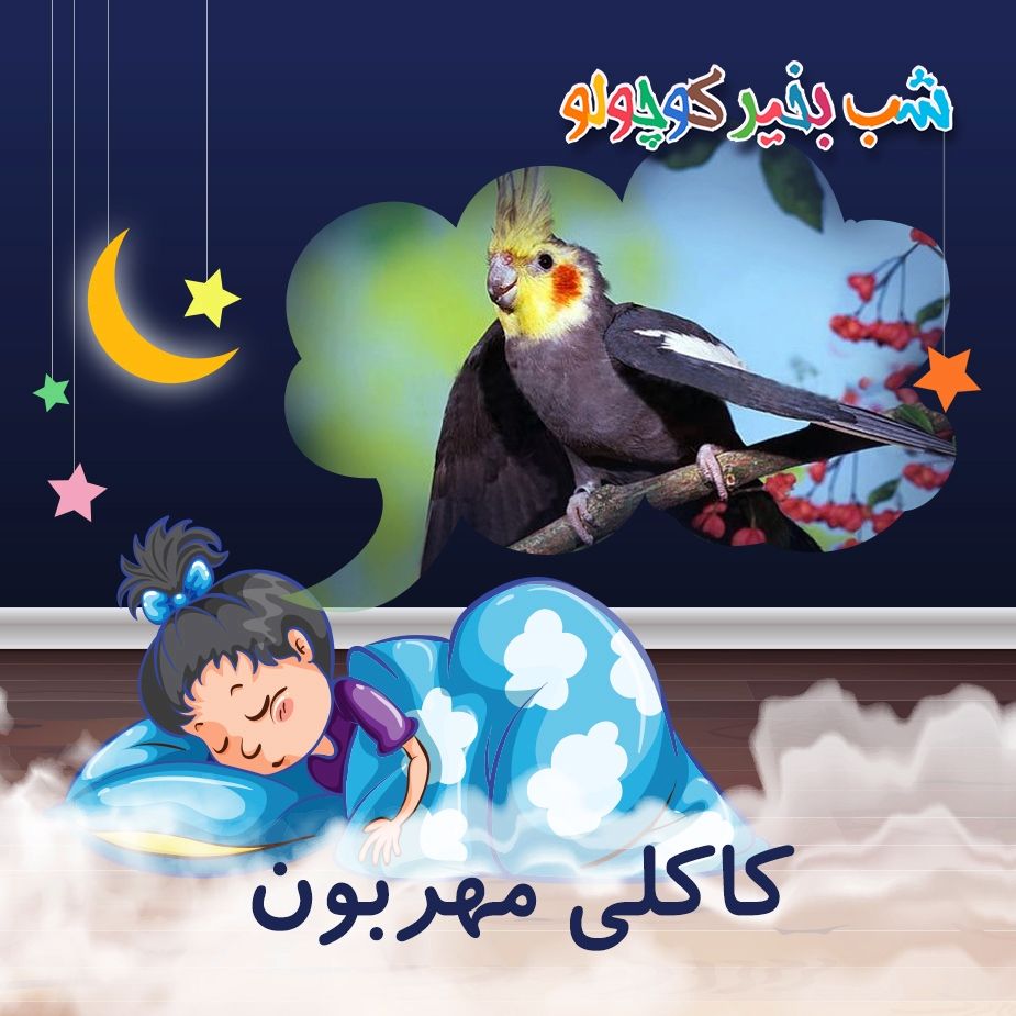 كاكلی مهربون 