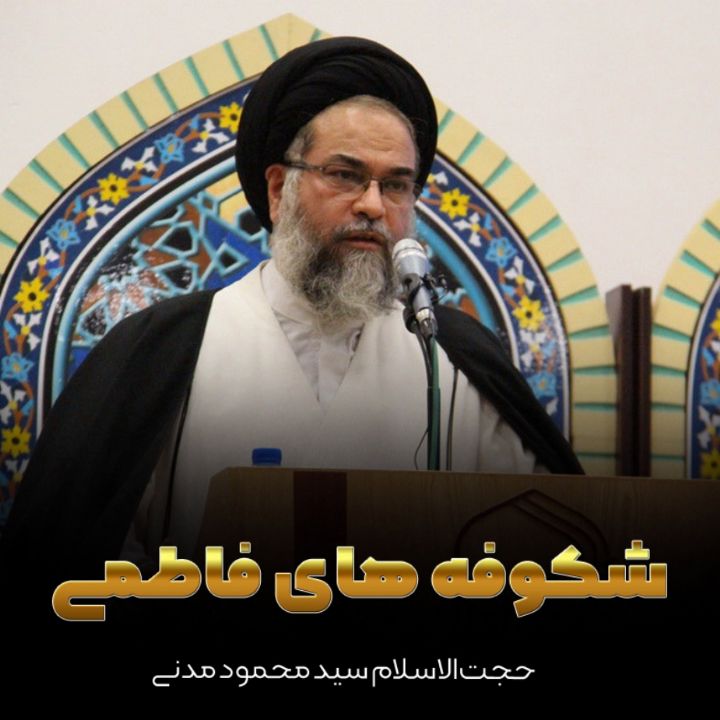 حجت‌ الاسلام سید محمود مدنی