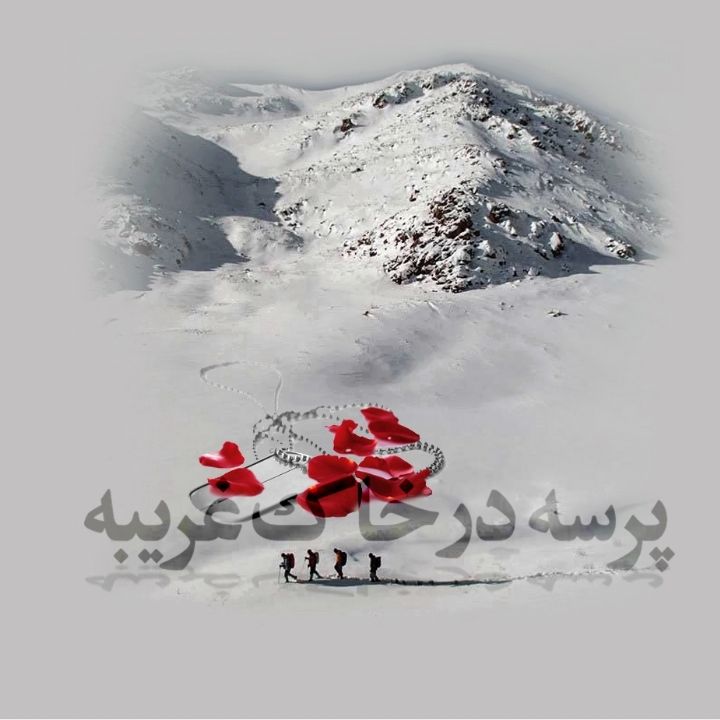 پرسه در خاك غریبه