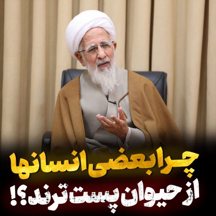 چرا برخی انسان ها از حیوانات پست ترند؟!