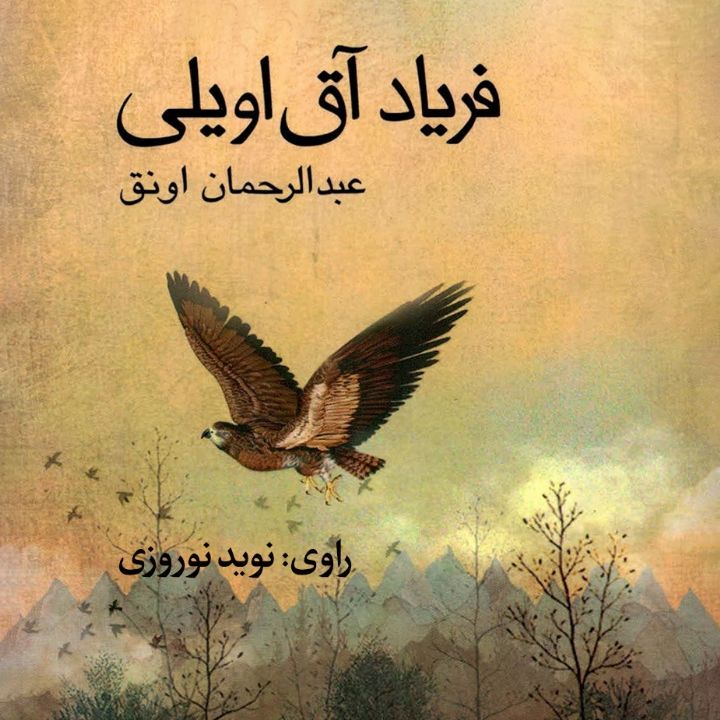 فریاد آق اویلی