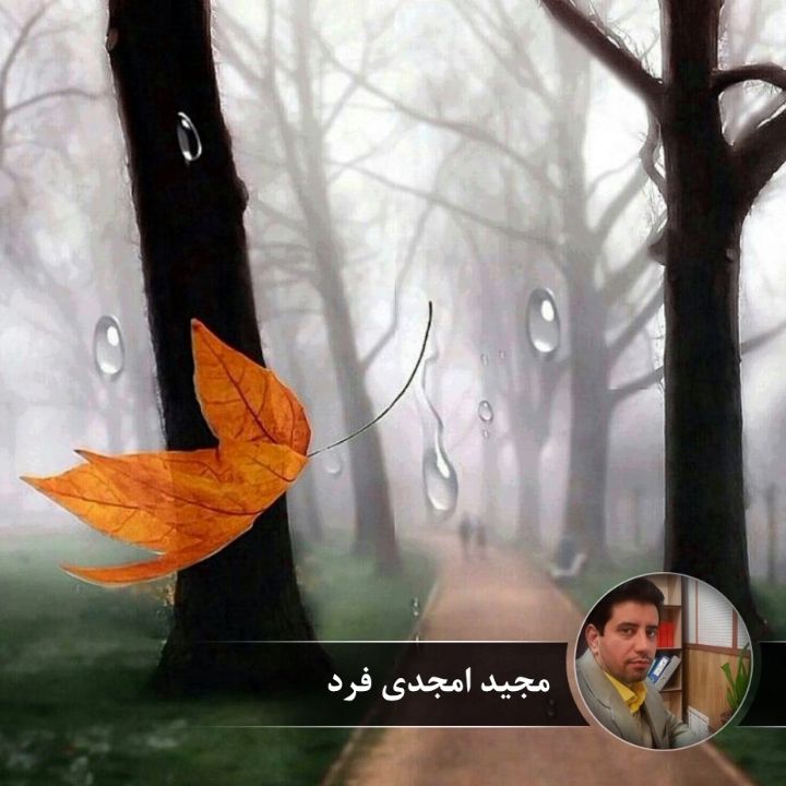 پلك ترانه