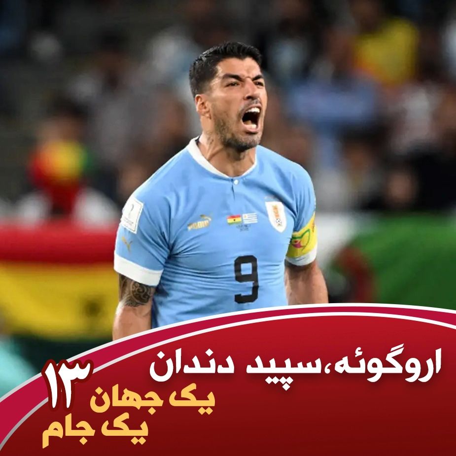 یك جهان یك جام؛ سیزدهم، سپید دندان