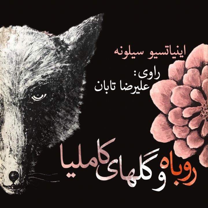 روباه و گلهای كاملیا 