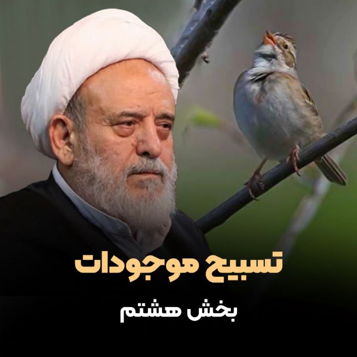 تسبیح موجودات - بخش هشتم 