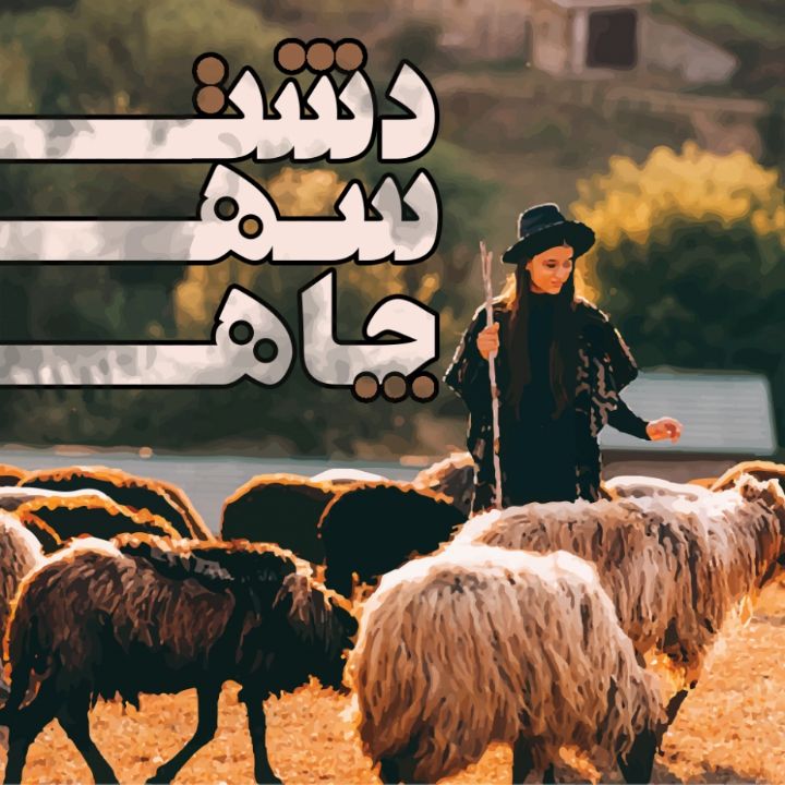 دشت سه چاه