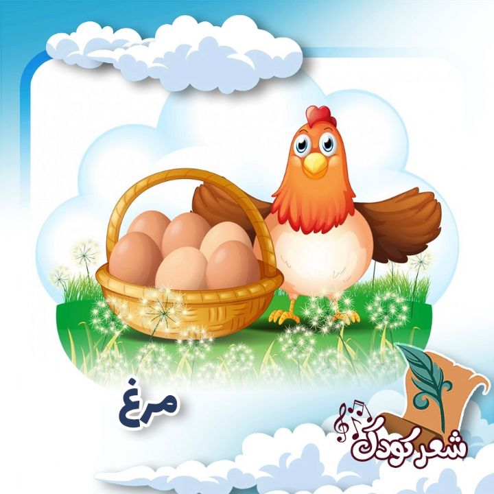 مرغ 