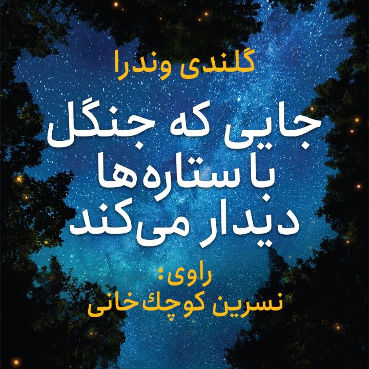 جایی كه جنگل با ستاره ها دیدار می كند