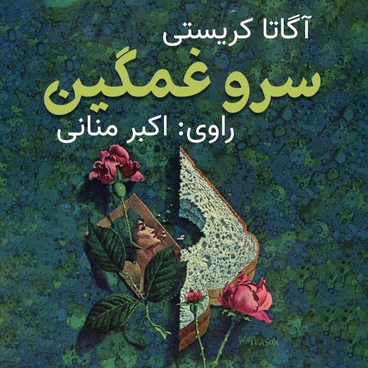 سرو غمگین 
