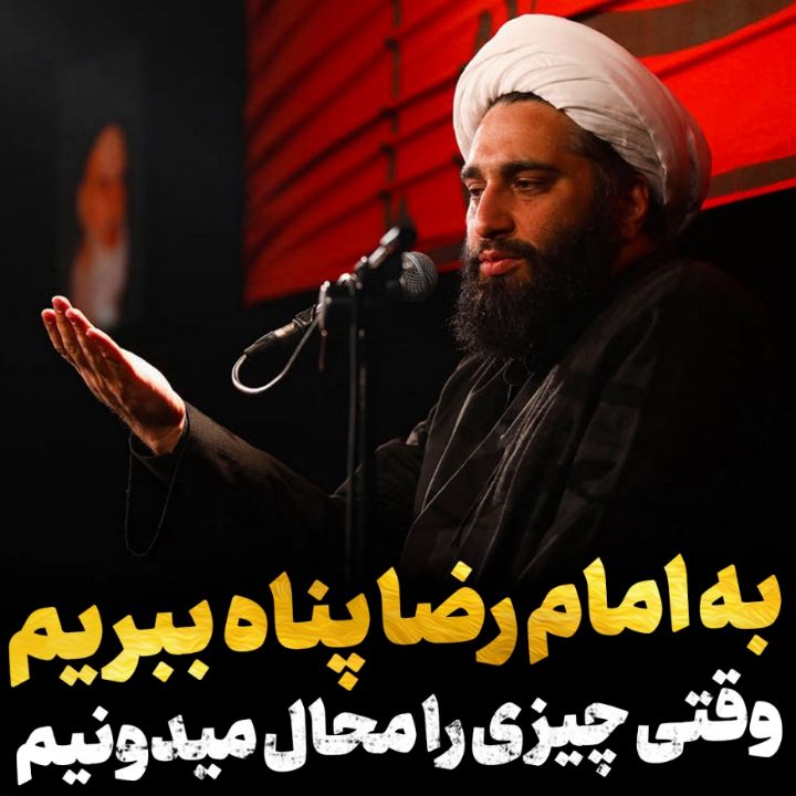 به امام رضا علیه‌السلام پناه ببریم