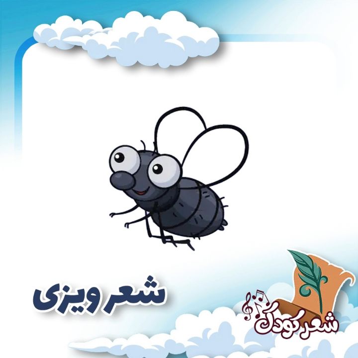 شعر ویزی