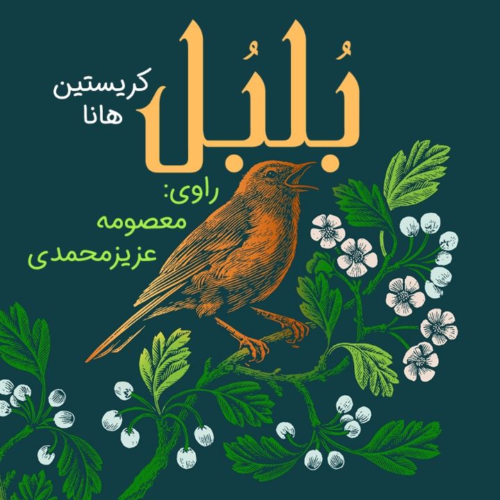 بلبل