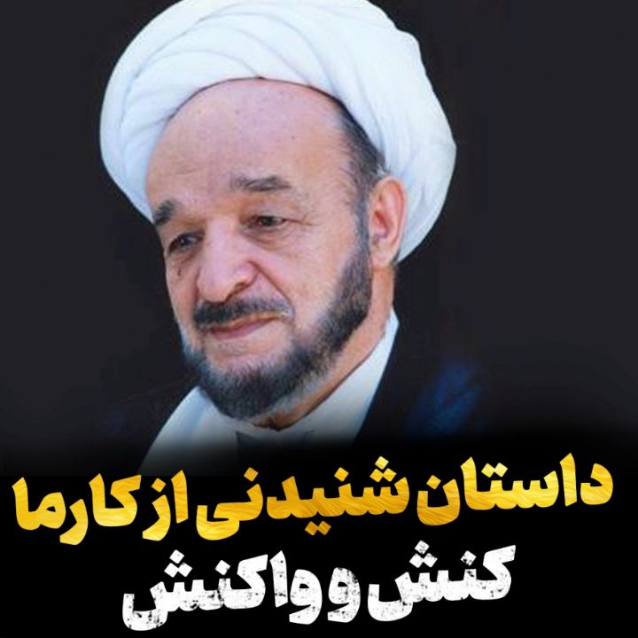 كنش و واكنش