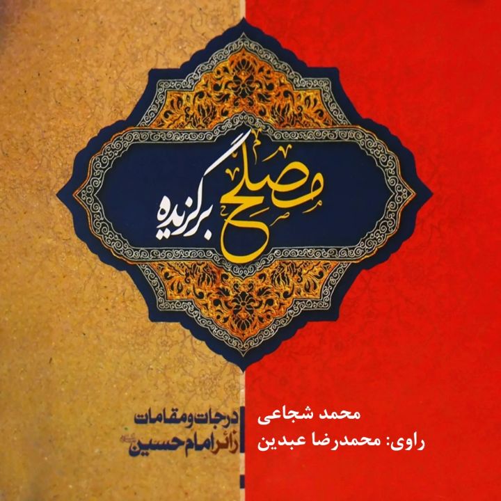مصلح برگزیده