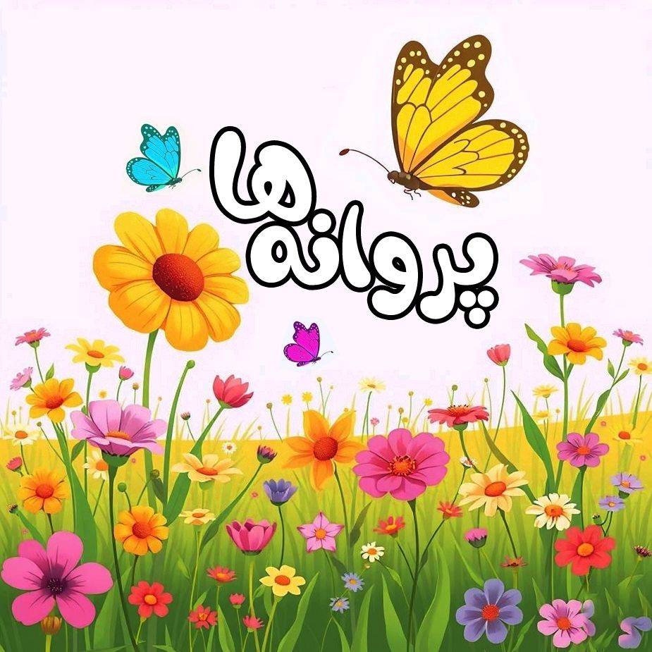 پروانه ها 