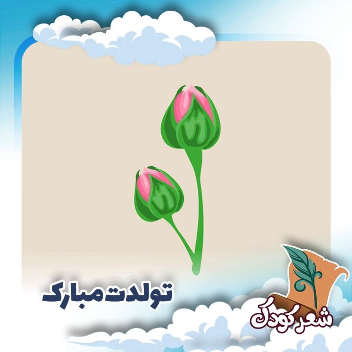 تولدت مبارك